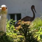 Hohe