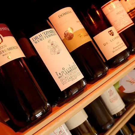 酒店 霍厄马克酒店 3*