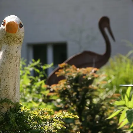 Hohe