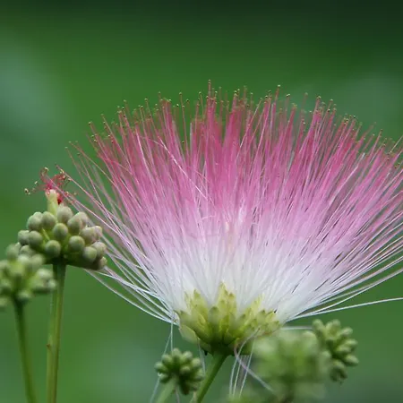 فندق Hohe Reken