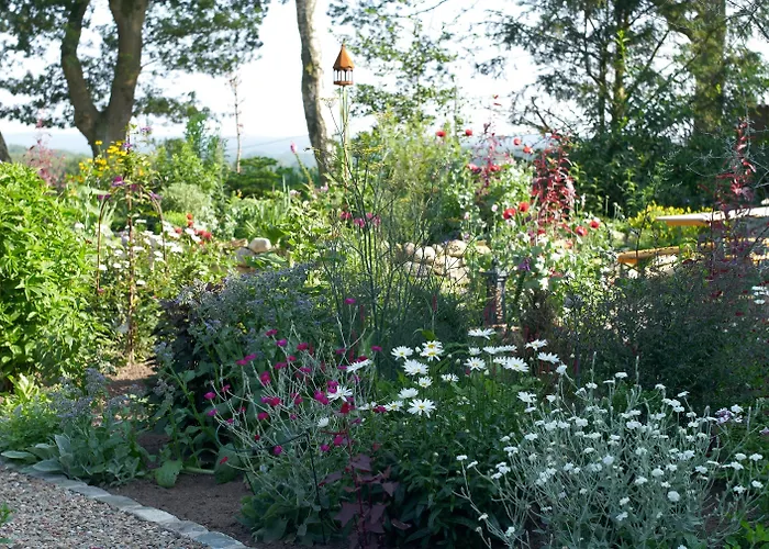 Hohe Szálloda Reken